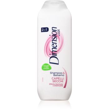Dimension by Lux 2in1 šampón a kondicionér 2 v1 pre suché vlasy 250 ml