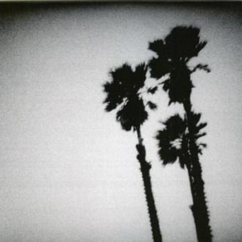 TWILIGHT SINGERS - BLACKBERRY BELLE, CD