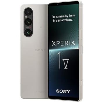 Sony Xperia 1 V 5G 12 GB/256 GB strieborný (XQDQ54C0S.EUK) + ZDARMA SIM karta Radosť – Prvú Nekonečnú Radosť si vyskúšaj na týždeň zadarmo!