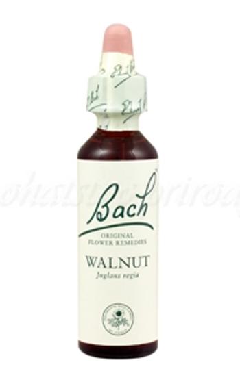 Walnut - Vlašský orech 20 ml - bachove kvapky