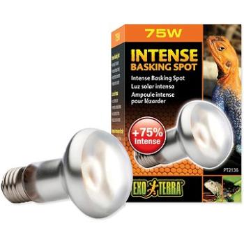Hagen Žárovka Intense Basking Spot 75 W (015561221368)