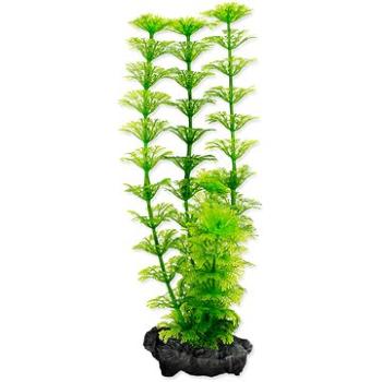 Tetra Rastlina Ambulia S 15 cm (4004218270145)
