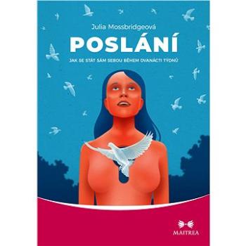 Poslání (978-80-7500-622-6)