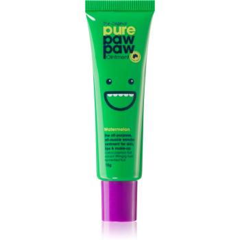 Pure Paw Paw Watermelon balzam na pery a suché miesta 15 g