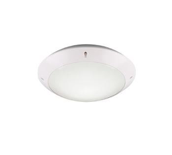 Stropné osvetlenie Reality Camaro biela R60501031