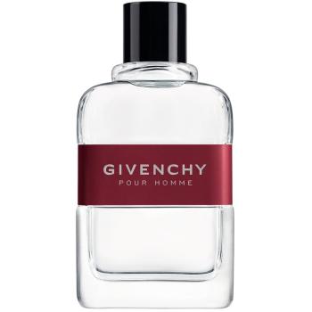 GIVENCHY Givenchy Pour Homme toaletná voda pre mužov 100 ml