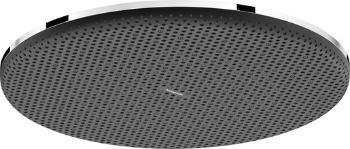Hlavová sprcha Hansgrohe Raindance Alive S na strop alebo na stenu chróm 24520000