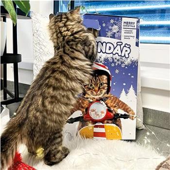 Akinu Adventný kalendár pre mačky 170 g (8595184958572)