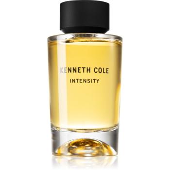 Kenneth Cole Intensity toaletná voda unisex 100 ml