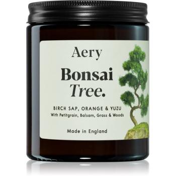 Aery Botanical Bonsai Tree vonná sviečka 140 g