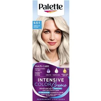 SCHWARZKOPF PALETTE Intensive Color Cream 9,5-1 (C9) Striebristo plavý (3838824197197)