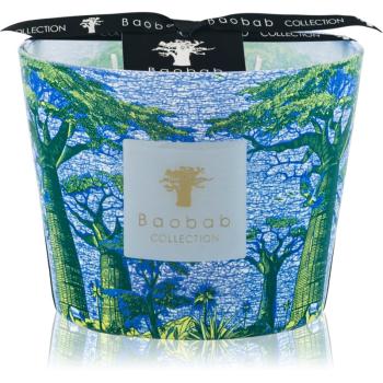 Baobab Collection Sacred Trees Yarani vonná sviečka 10 cm