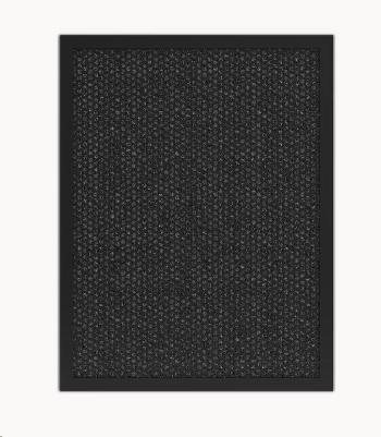 Teslá Smart Air Purifier Pre L Carbon Filter