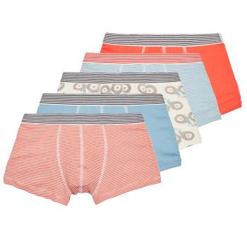 Petit Bateau  BOXERS PETIT BATEAU PACK X5  Boxerky Viacfarebná