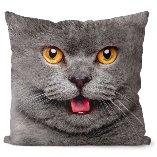 Vankúš  Mačička grey (Velikost: 40 x 40 cm)