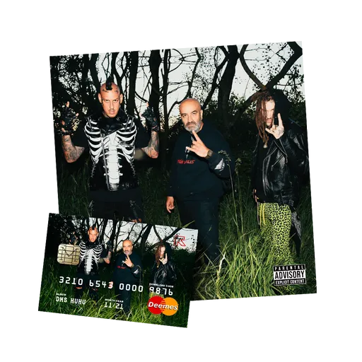 DMS CD + Download karta Huhu