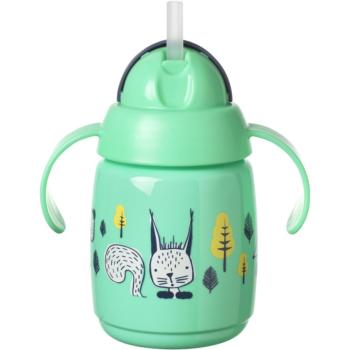 Tommee Tippee Superstar Straw Cup hrnček s rúrkou pre deti 6m+ 300 ml