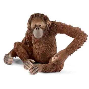 Schleich 14775 Orangutan samica (4055744012679)