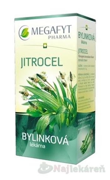 MEGAFYT Bylinková lekáreň SKOROCEL, bylinný čaj,  20x1,5 g