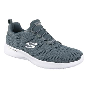 Skechers  Dynamight  Fitness Šedá