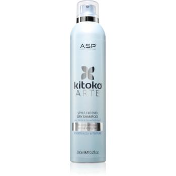ASP kitoko Arte Extend Dry Shampoo suchý šampón 300 ml