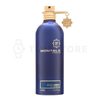 Montale Aoud Ambre parfémovaná voda unisex 100 ml   - 30 dní na vrátenie tovaru, Garancia originality