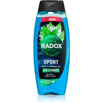 Radox Mineral Therapy sprchový gél pre mužov maxi Mint & Sea Salt 450 ml