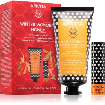 Apivita Hand Care Winter Wonders Honey vianočná darčeková sada (Bio-Eco Product, 100% Natural Derived Ingredients)