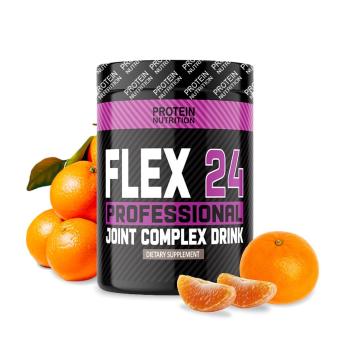 Flex 24 Professional Drink - Protein Nutrition 600 g Mango