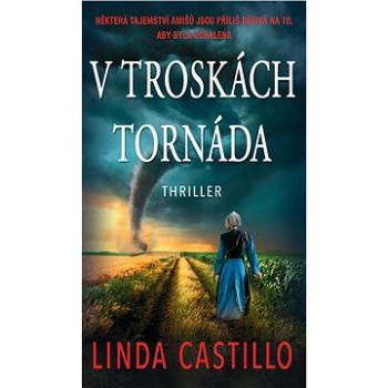 V troskách tornáda (978-80-243-9055-0)