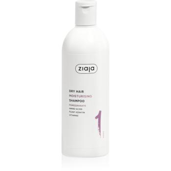 Ziaja Plant Essentials Pomegranate hydratačný šampón pre suché vlasy 400 ml
