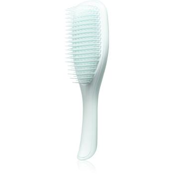 Tangle Teezer The Ultimate Detangler Fine & Fragile plochá kefa pre krehké vlasy Ice Blue 1 ks