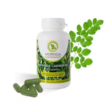 Moringa Caribbean 60 kapsúl