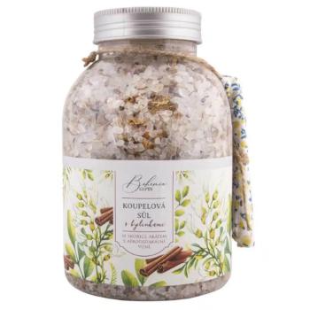 Bohemia Gifts Kúpeľová soľ - škorica a agát , 1200g