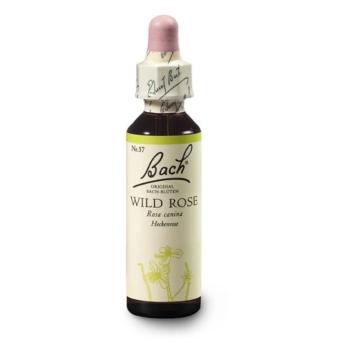 ORIGINAL BACH® Wild rose 20 ml