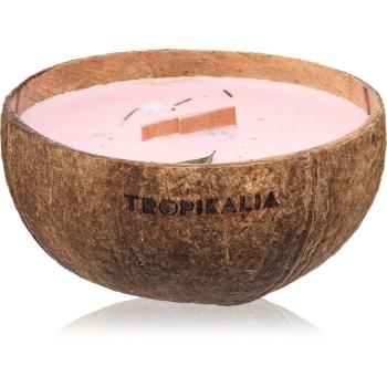 Tropicandle Frozen Cranberry vonná sviečka s dreveným knotom 350 ml