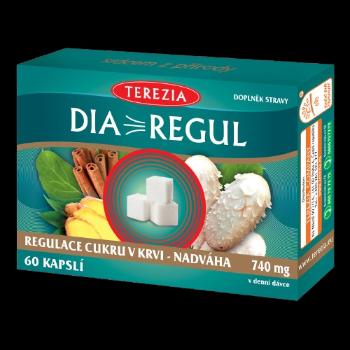 TEREZIA Diaregul 60 kapsúl