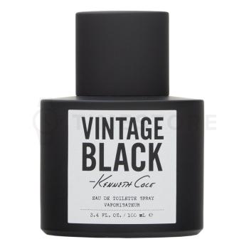 Kenneth Cole Vintage Black toaletná voda pre mužov 100 ml   - 30 dní na vrátenie tovaru, Garancia originality