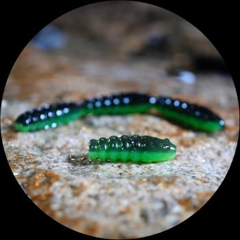 Redbass gumová nástraha trout grub black/green - 3x16 mm