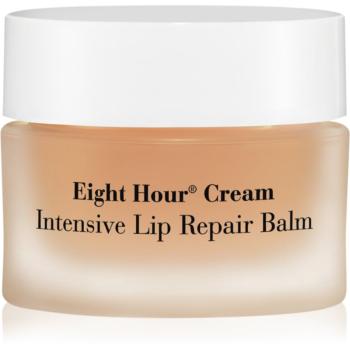 Elizabeth Arden Eight Hour intenzívny balzam na pery 10 g