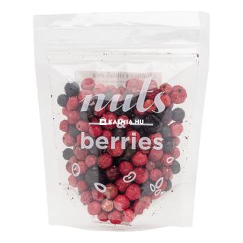 Nuts Berries Ribizli mix liofilizált 25 g