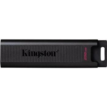 Kingston DataTraveler Max 256 GB (DTMAX/256GB)