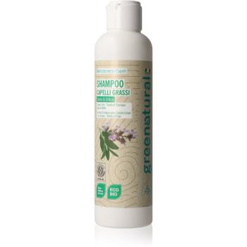 Greenatural Shampoo Sage & Nettle šampón pre mastné vlasy 250 ml