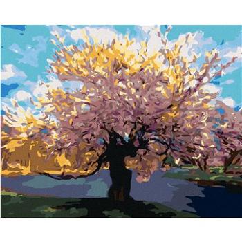 Zuty - Malování podle čísel - SAKURA U POTOKA, 80x100 cm, vypnuté plátno na rám (HRAmmb09387nad)