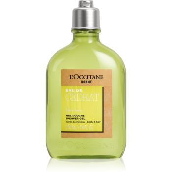 L’Occitane Men Cedrat sprchový gél na telo a vlasy 250 ml