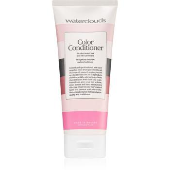 Waterclouds Color Conditioner hydratačný kondicionér na ochranu farby 200 ml