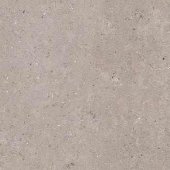 Dlažba Pastorelli Biophilic grey 120x120 cm mat P009411