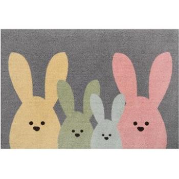 Protišmyková Printy 104452 Grey, Multicolor 40 × 60 cm (273629-96373)