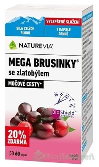 SWISS NATUREVIA MEGA BRUSNICE SO ZLATOBYĽOU na močové cesty 60 kapsúl