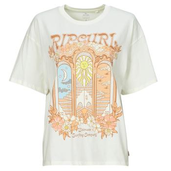 Rip Curl  TROPICAL TOUR HERTIAGE TEE  Tričká s krátkym rukávom Béžová